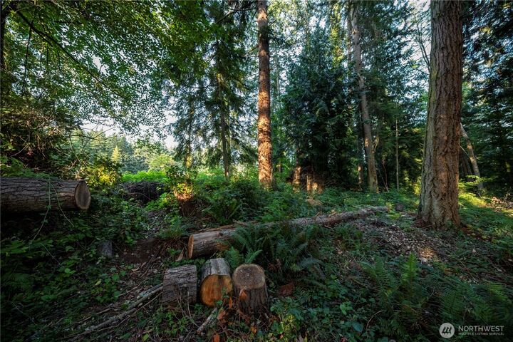 Property Photo:  0  Ships Havens Drive  WA 98249 