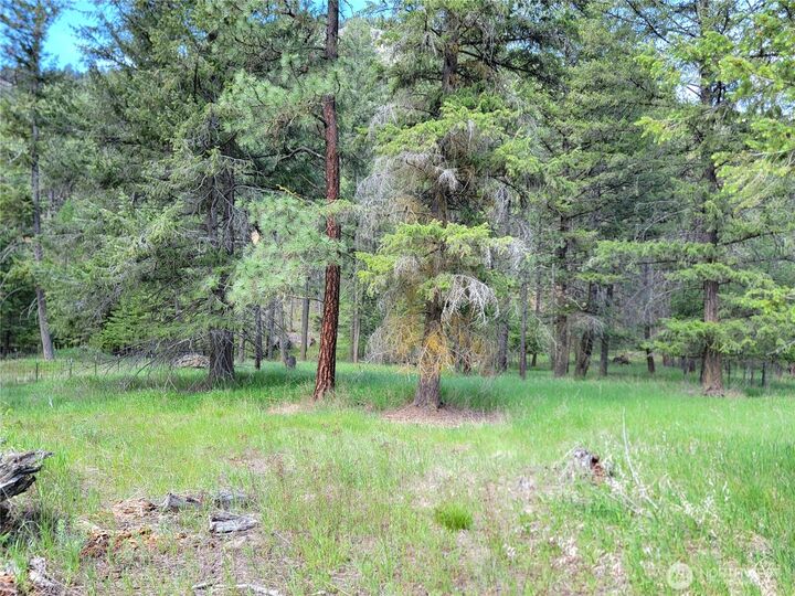 Property Photo:  0  Evergreen Drive  WA 99118 