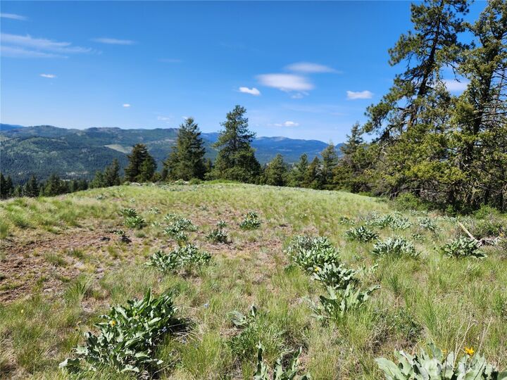 Property Photo:  0 E Knob Hill Road  WA 99166 