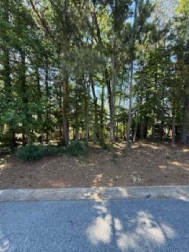 Property Photo:  213 S Carleila Lake Way ***  SC 29307 