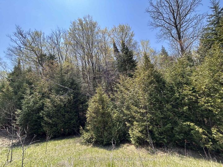 Property Photo:  0 Highway 118 N/A  ON K0L 1C0 