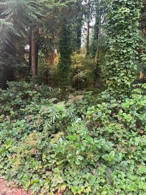 156&Amp160 Harlech Rd — photo 1