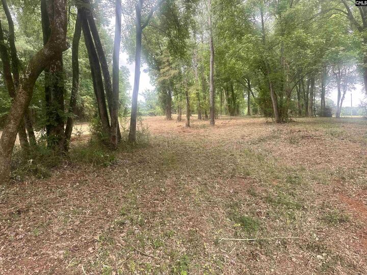 Property Photo:  0 Hwy 202  SC 29075 