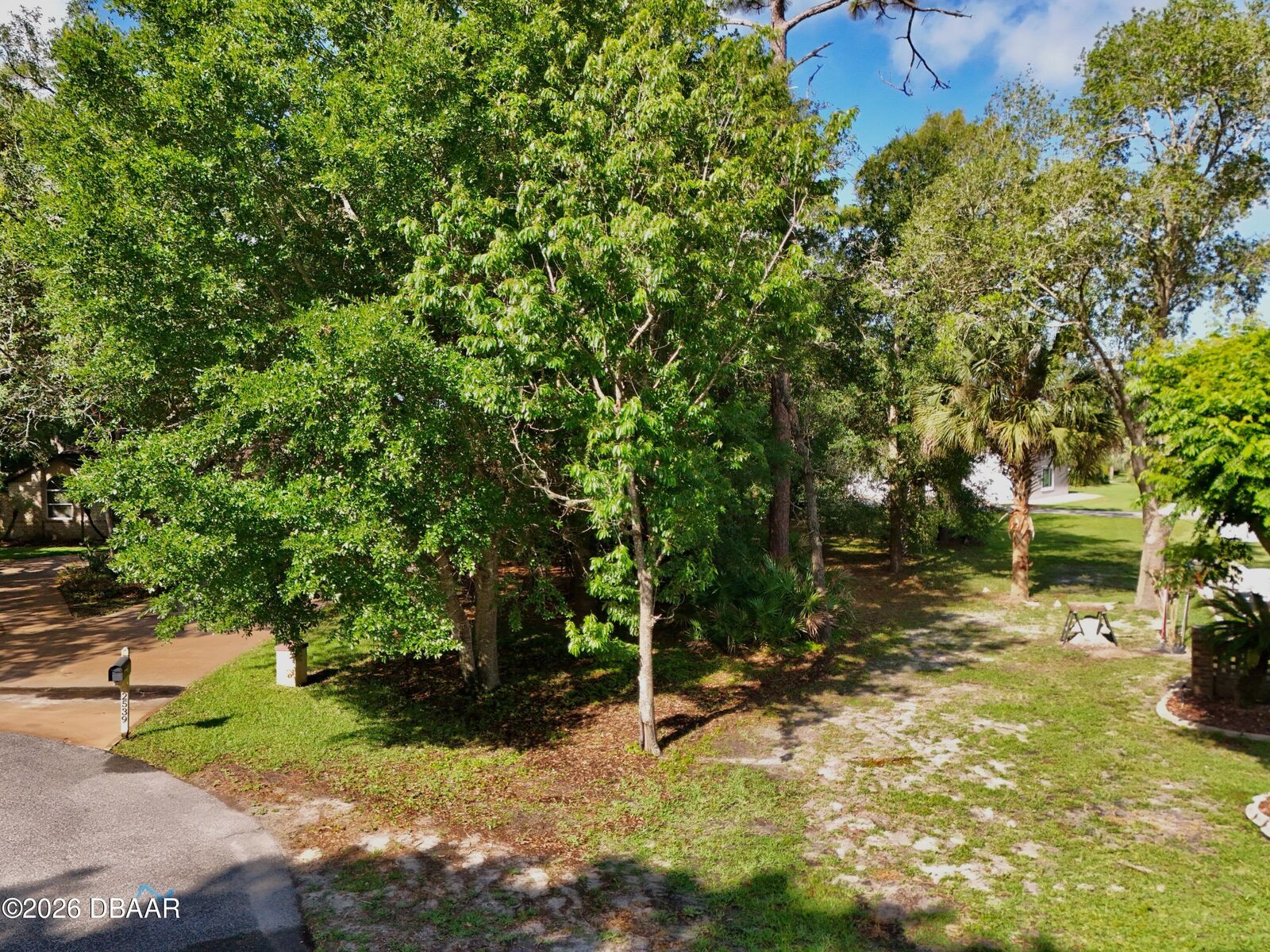 Property Photo:  2537 Tail Spin Trail  FL 32128 