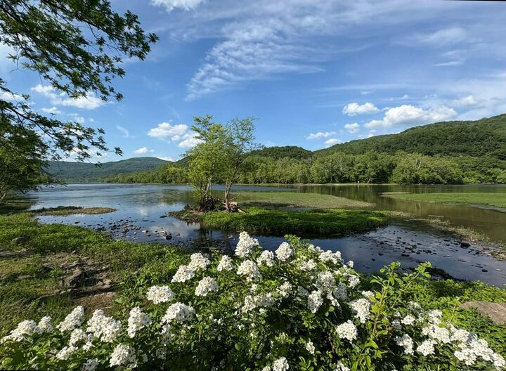 Property Photo: 1353 New River Rd WV 25951