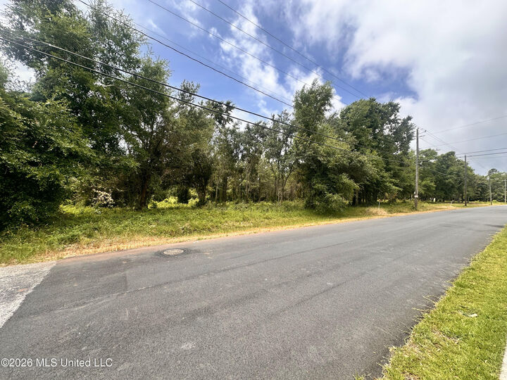 Property Photo:  Lot 8 Magnolia Street  MS 39560 
