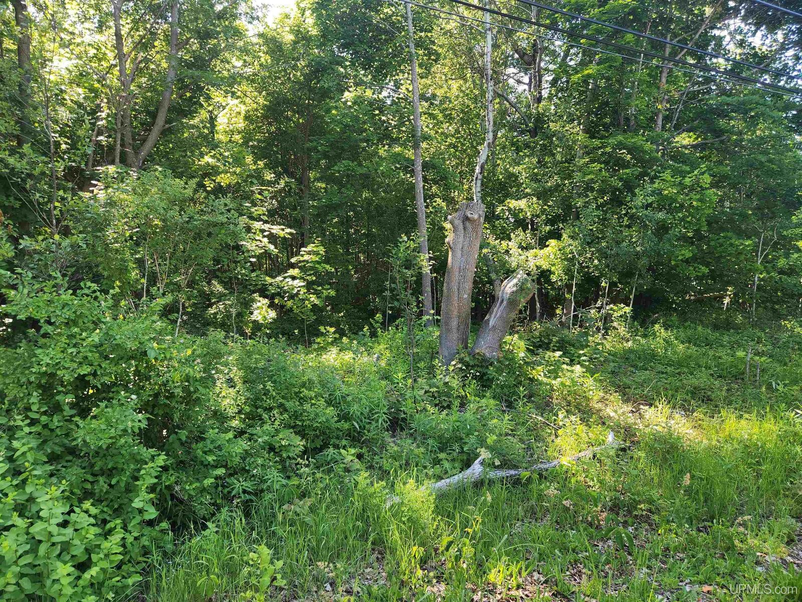 Property Photo:  Tbd 135 Eleventh Street  MI 49913 