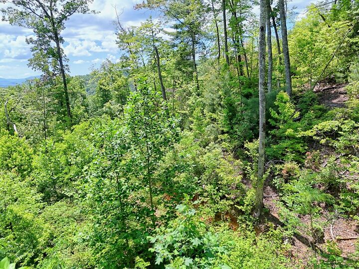 Property Photo:  Lot 28 Bryson Creek  NC 28906 