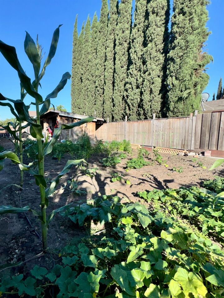 Property Photo: 3748 E Miner Avenue CA 95215