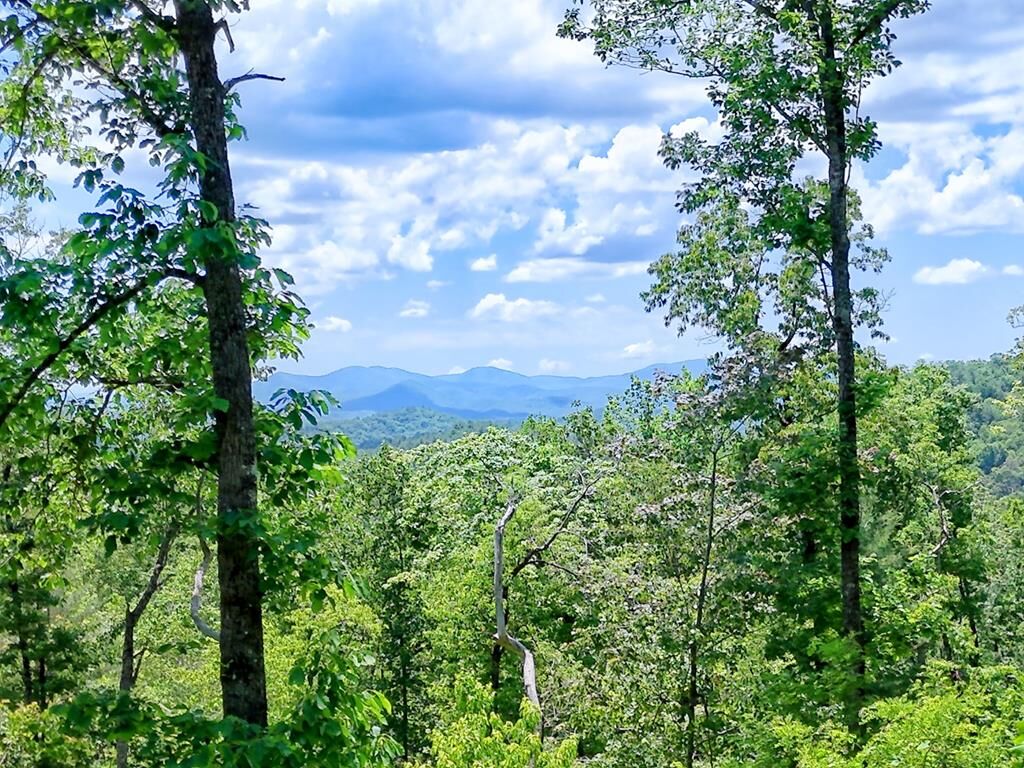 Property Photo:  Lot 28 Bryson Creek  NC 28906 
