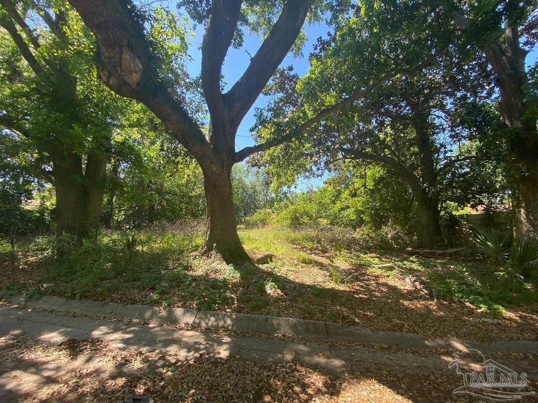 Property Photo: 1401 N N St FL 32501