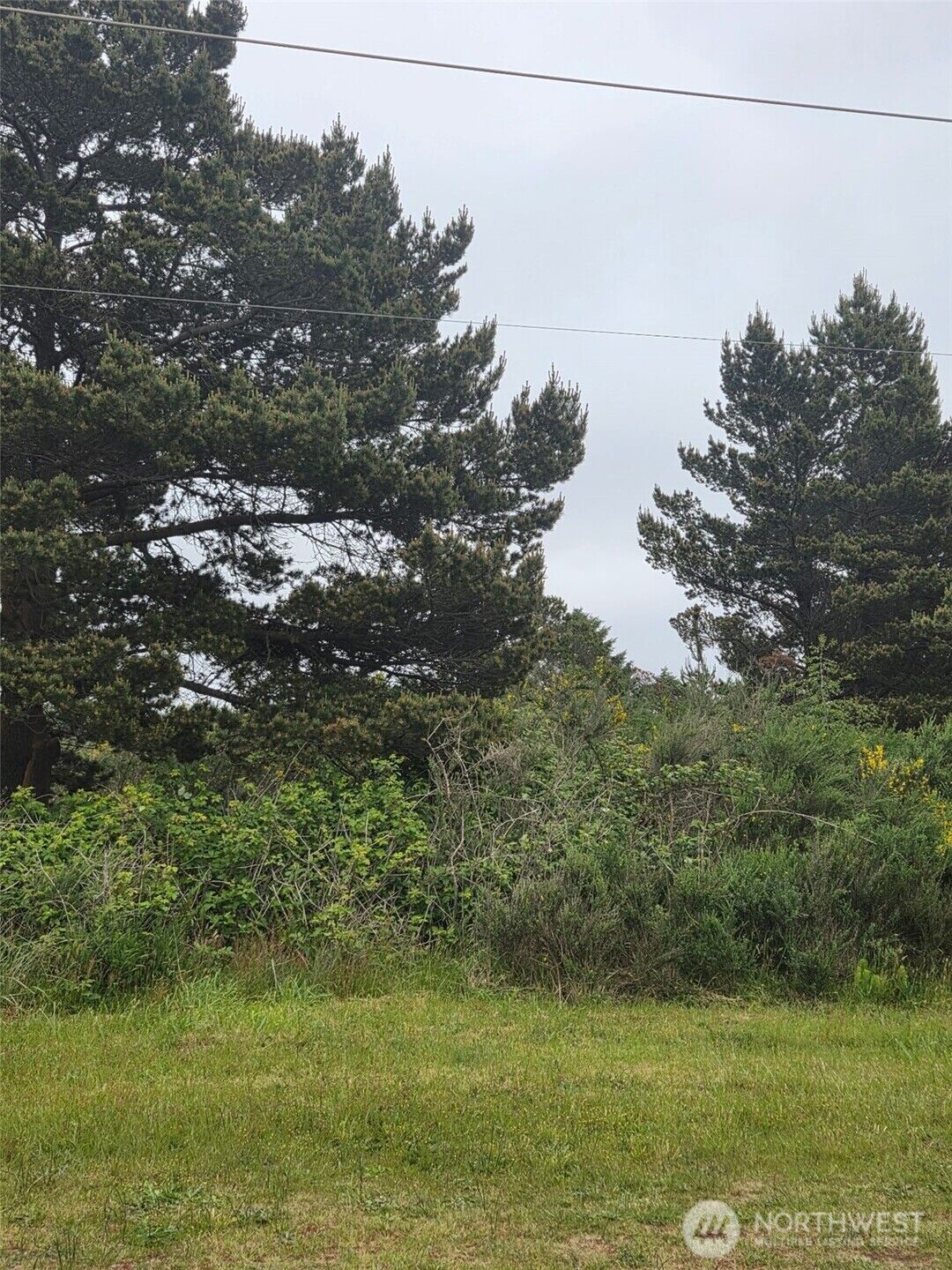 Property Photo: 556 Point Brown Avenue NE WA 98569