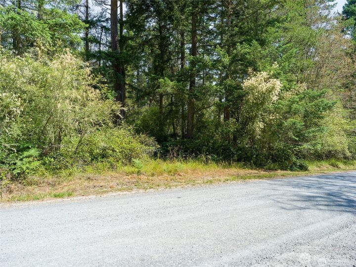 Property Photo: 0 Eliza Road WA 98261