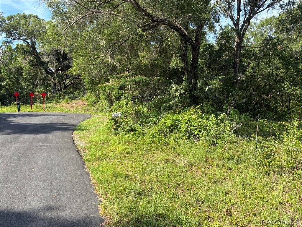 Property Photo:  5236 N Oldwood Point  FL 34442 