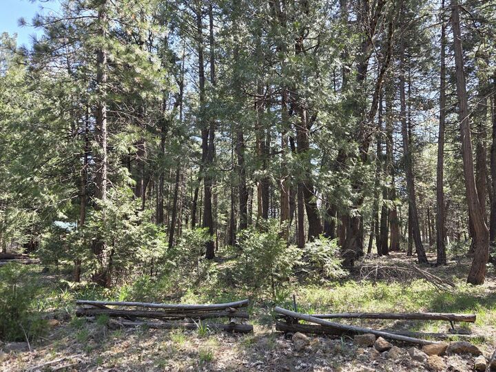 Property Photo:  Lot 16 Arbor Lane  CA 96088 
