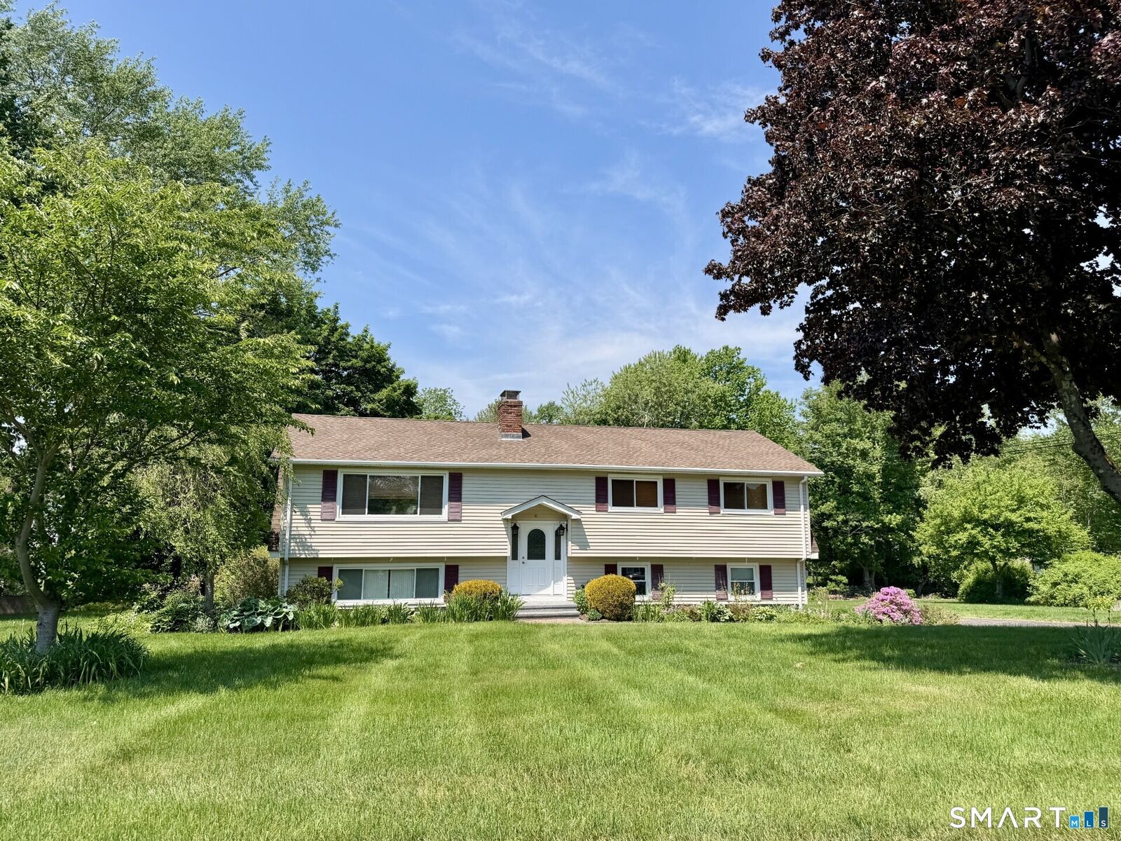 Property Photo:  41 Swendsen Drive  CT 06468 