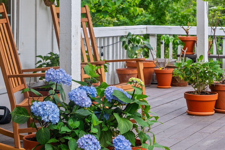 Property Photo:  1462/1466 Blackwell Ferry Road  MO 65679 
