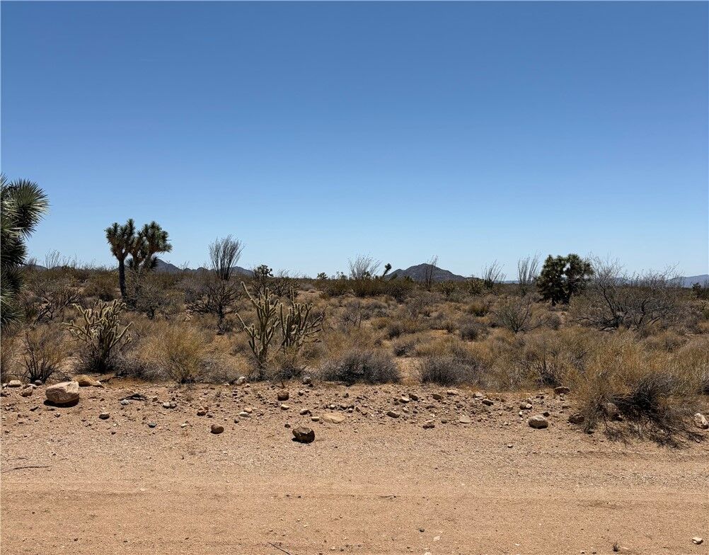 Property Photo: 000 E Maricopa Drive AZ 86438