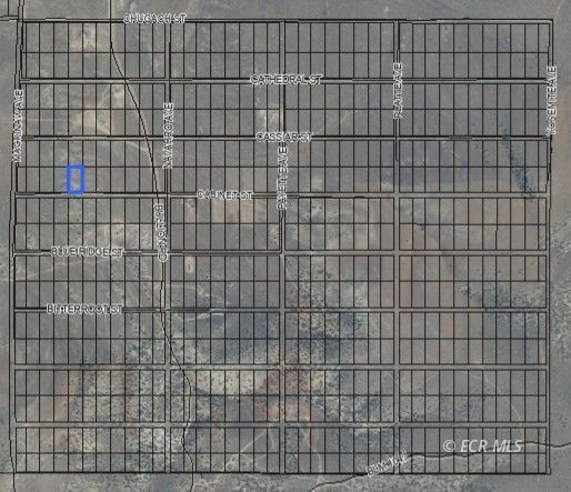 Property Photo:  066-012-016 Cabinet Street  NV 89801 