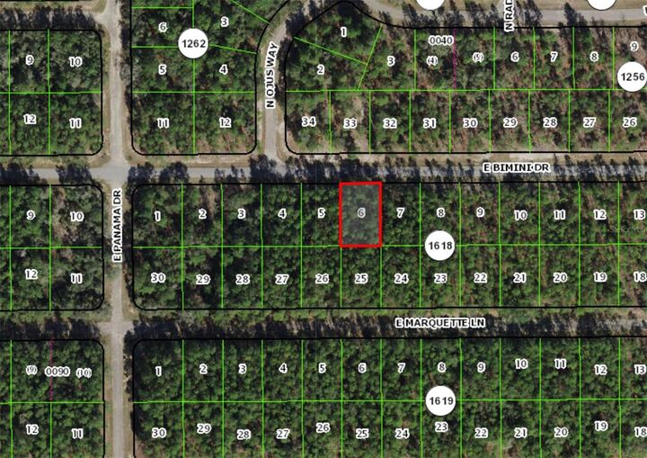 Property Photo:  546 E Bimini Drive  FL 34434 
