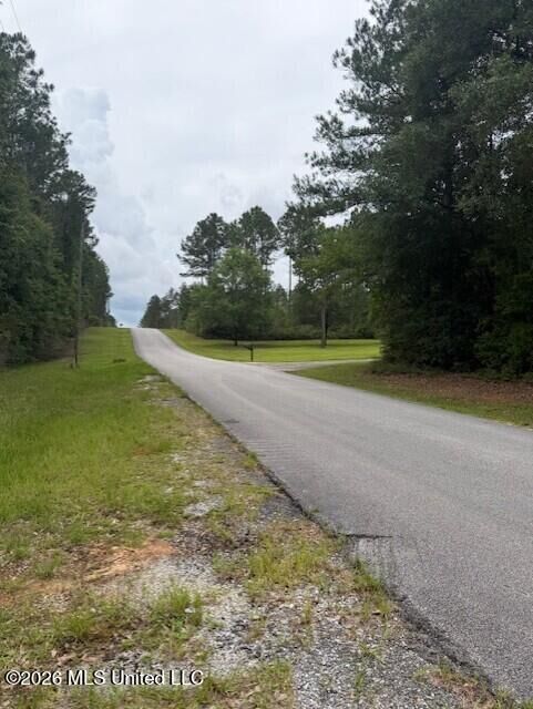 Property Photo:  143 Mill Creek Lane  MS 39452 
