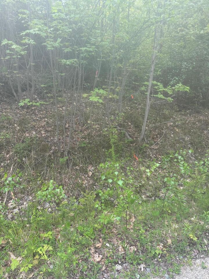 Property Photo: Lot 2 Morse District Road Road N ME 04680