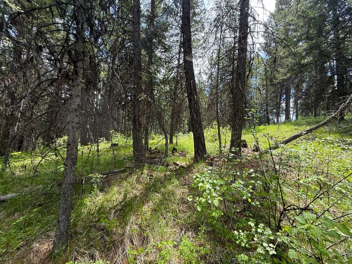 Property Photo:  Tbd E Knob Hill Rd  WA 99166 