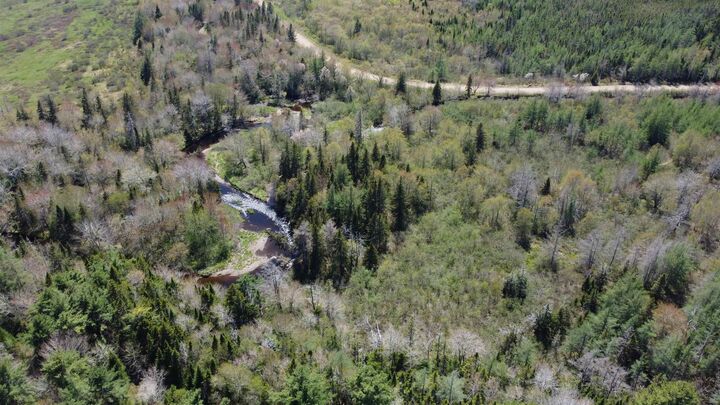 Property Photo:  No 316 Highway  NS B0H 1J0 