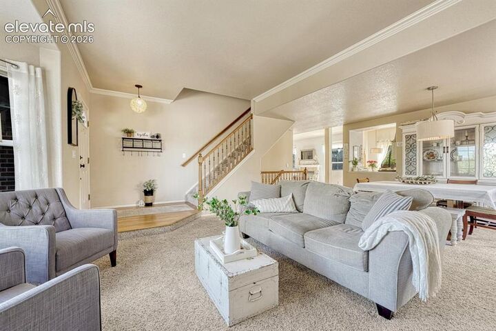 Property Photo:  5629 Whiskey River Drive  CO 80923 
