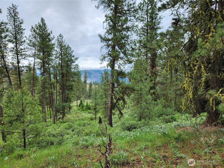 Property Photo:  0 74 & 75  Gold Mt. Road  WA 99166 