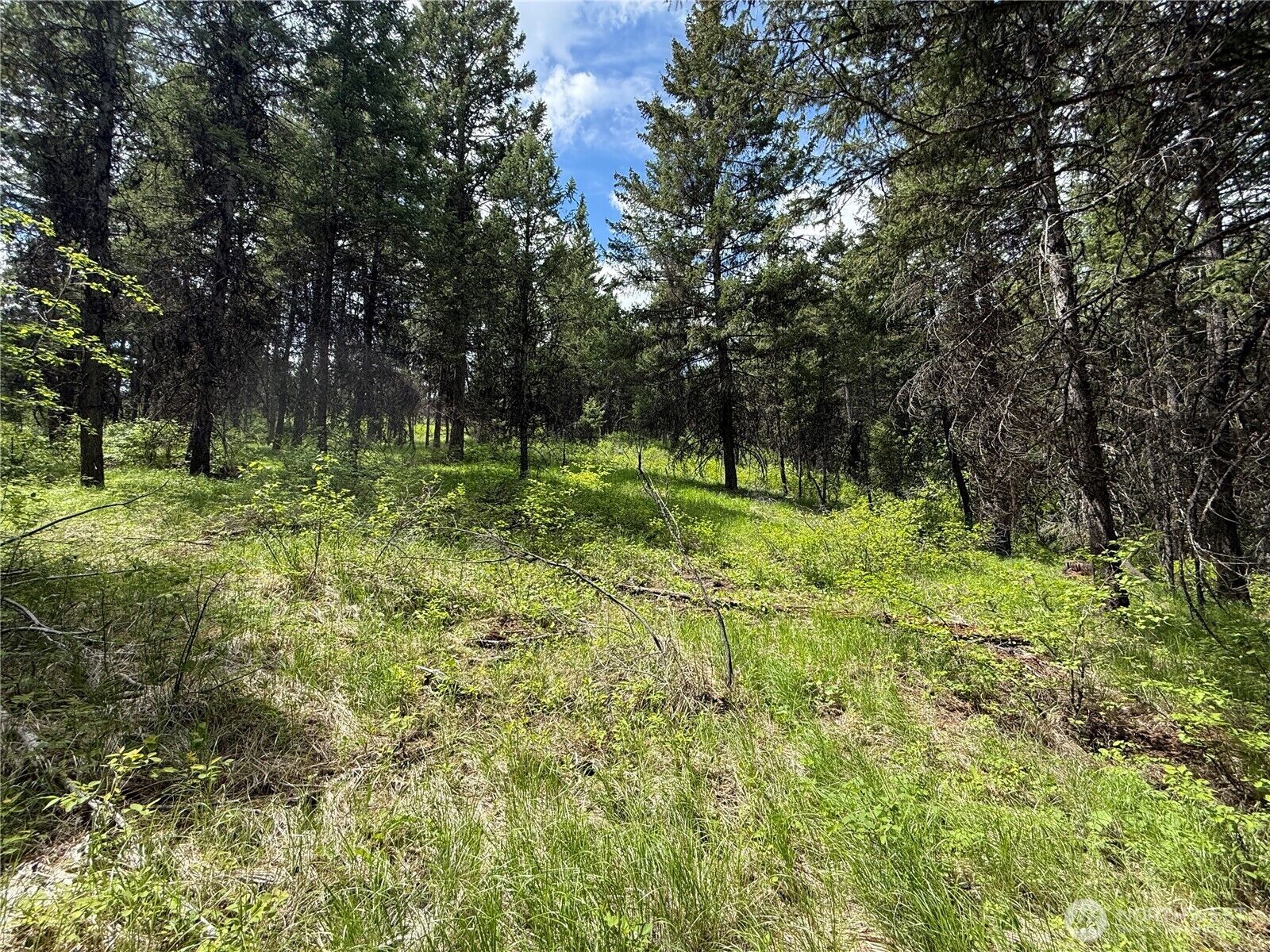 Property Photo:  0  Knob Hill Road E  WA 99166 