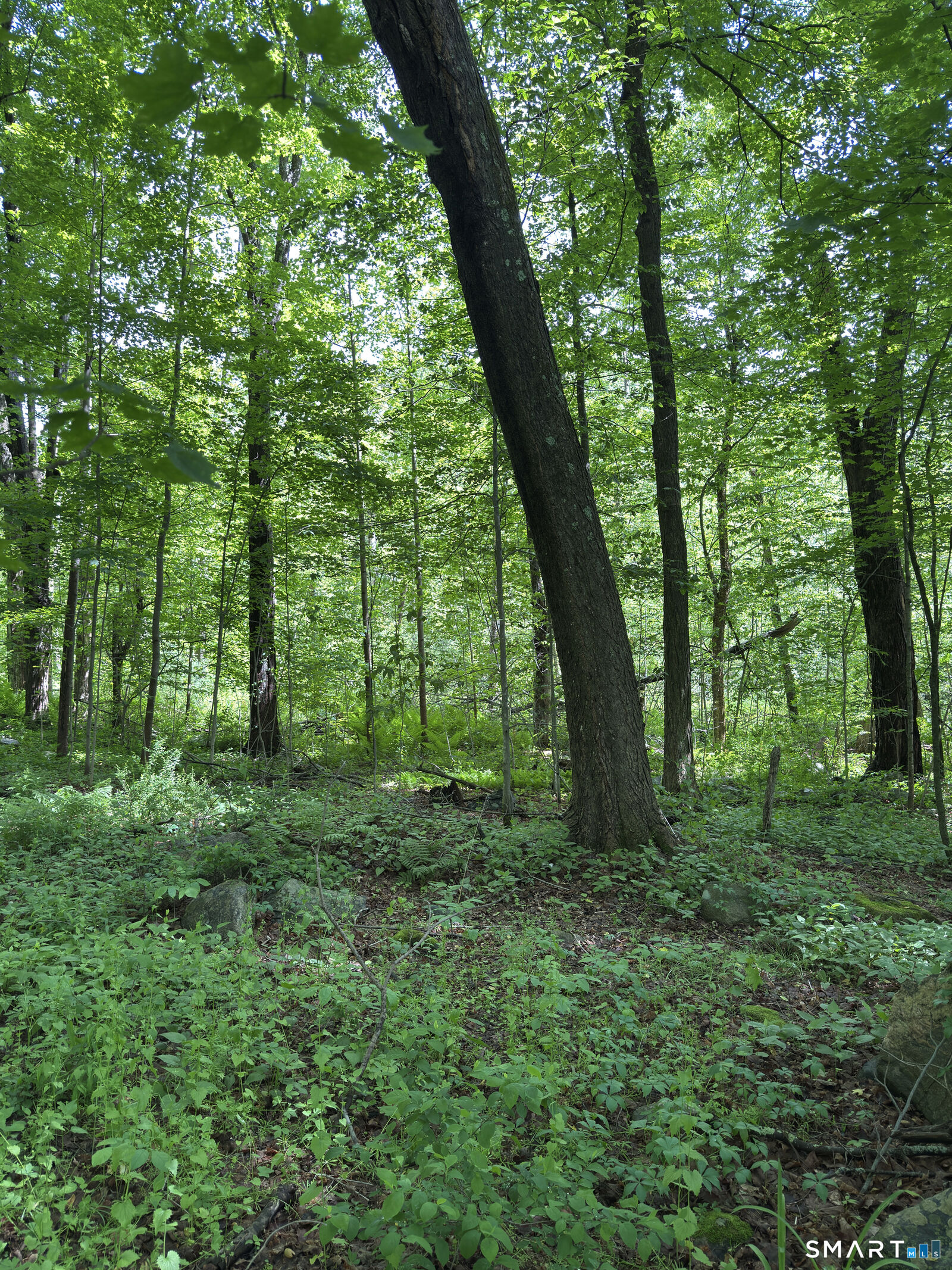 Property Photo: 319 White Oak Trail CT 06098