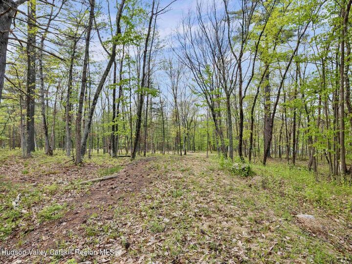 Property Photo:  Tbd Route 44/55  NY 12446 