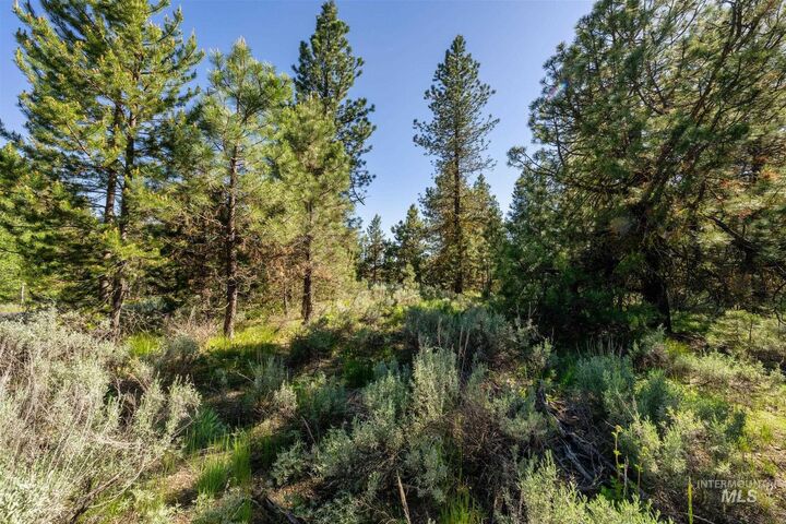 Property Photo: 110 Fawnlilly ID 83638