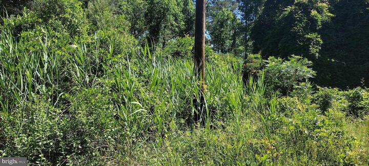Property Photo:  4064 Back Shelltown Road  MD 21838 
