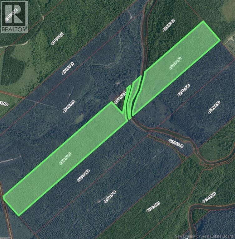 Property Photo:  104 Acres Waterfront Russellville Road  NB E1V 7G8 