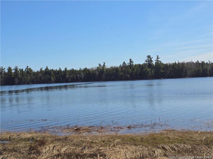 Acreage North Black River Road — photo 1