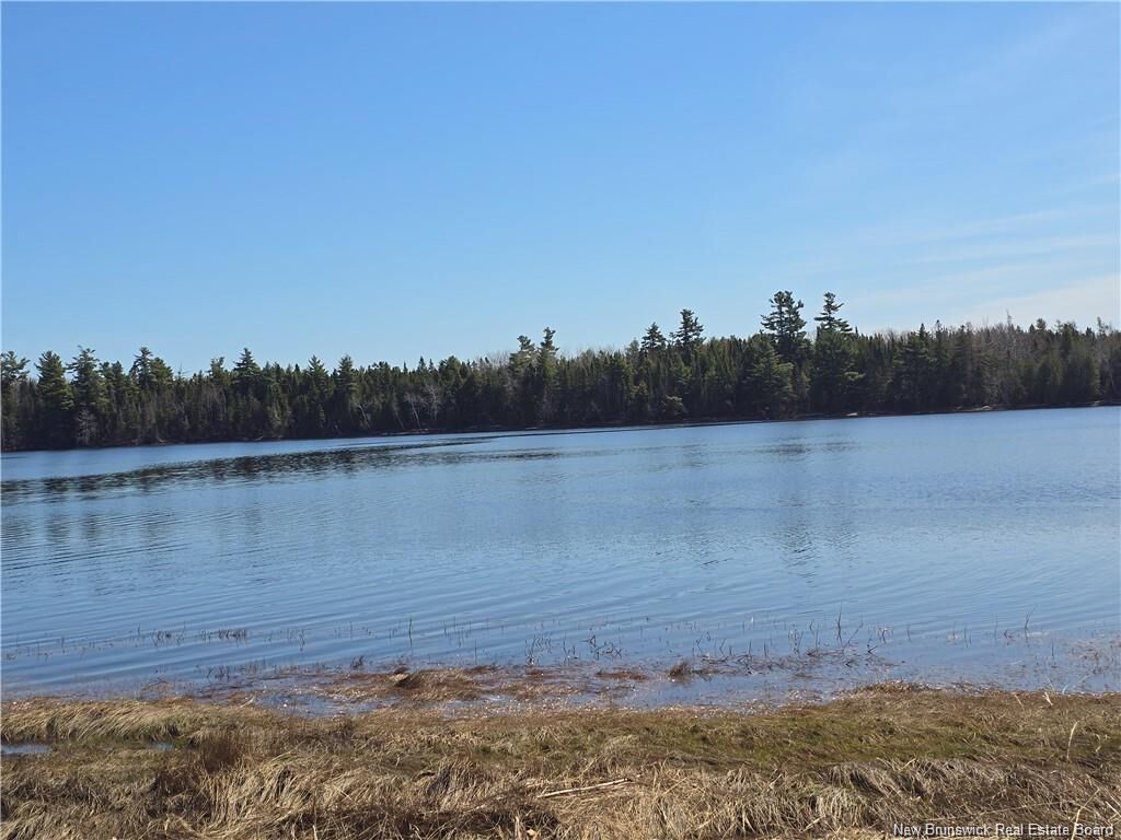 Property Photo:  Acreage North Black River Road  NB E1N 5T3 