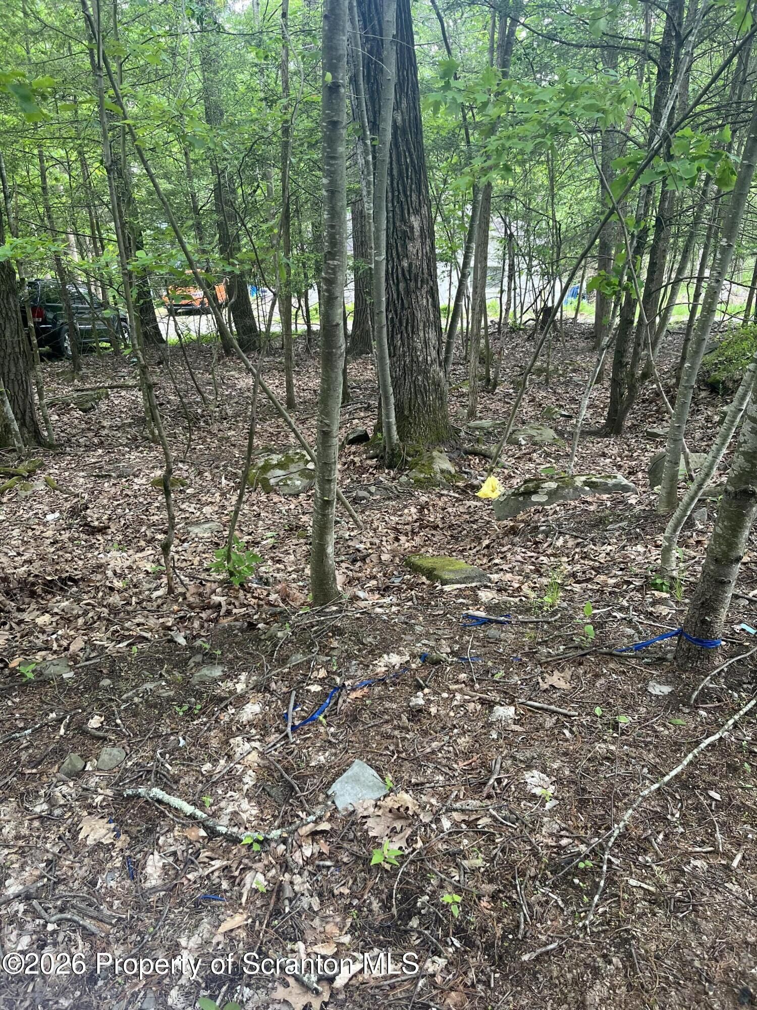 Property Photo:  Glowatch Lane  PA 18657 