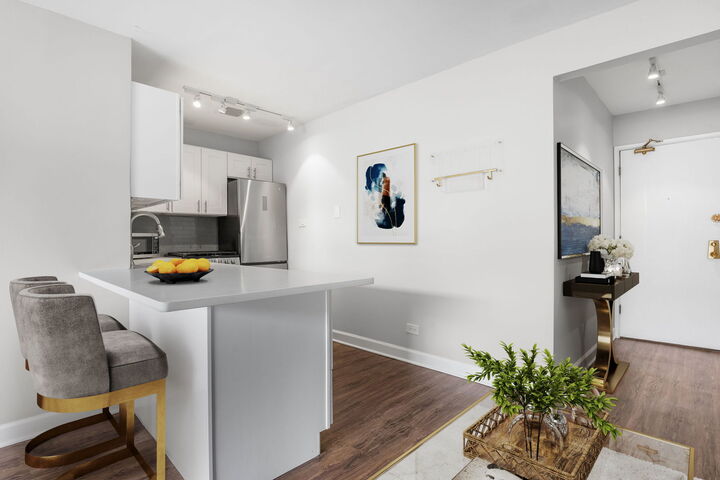 Property Photo:  611 W Patterson Avenue 420  IL 60613 
