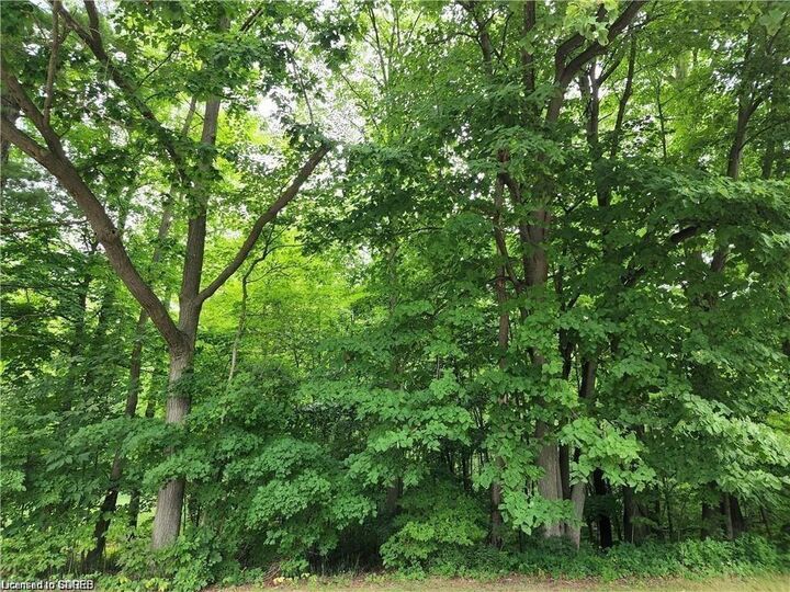 Property Photo:  Pt Lot 20 7 Concession  ON N3Y 4K1 