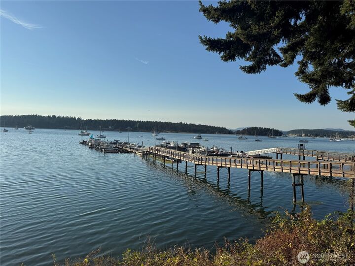 Property Photo:  27  Dryad Place  WA 98261 