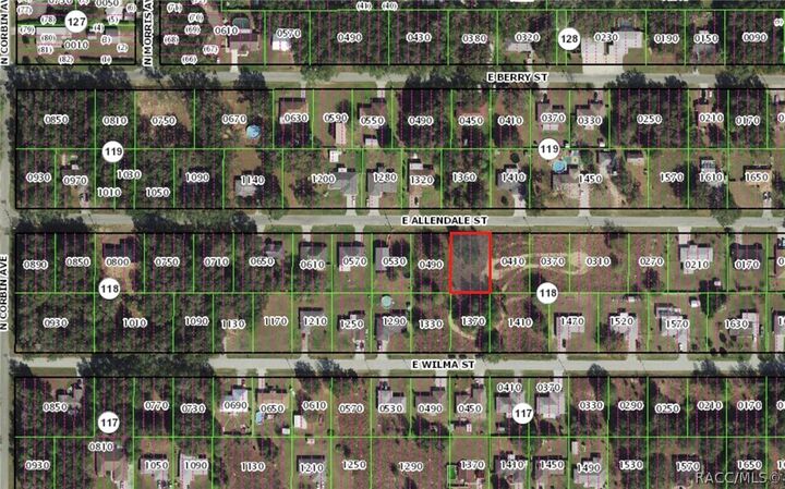 Property Photo:  0 E Allendale Street  FL 34453 