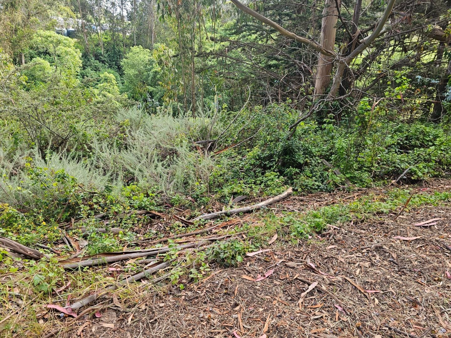 Property Photo: 0 Verde Road CA 94019