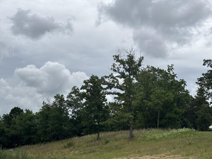 Property Photo: 8 Logan Lane MO 65745