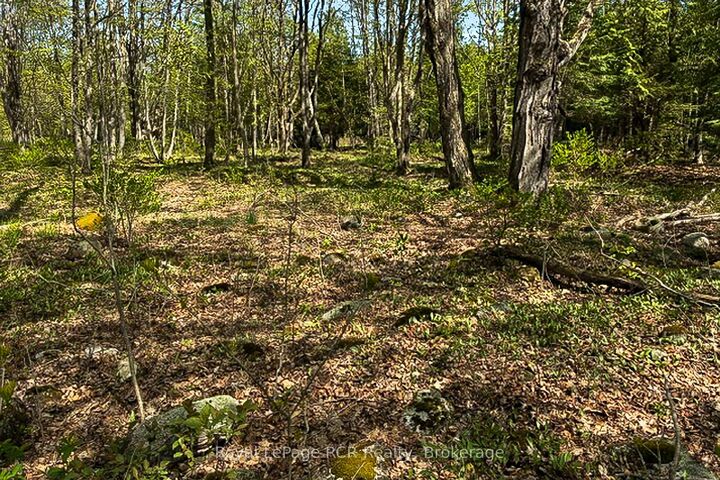 Property Photo: N/A Sutter Road Road W ON N0H 1W0