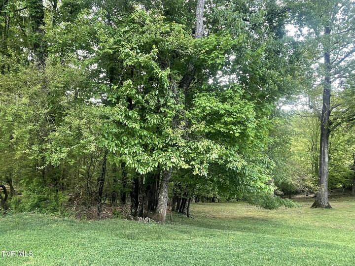 Property Photo:  Tbd Hillcrest Drive  VA 24251 