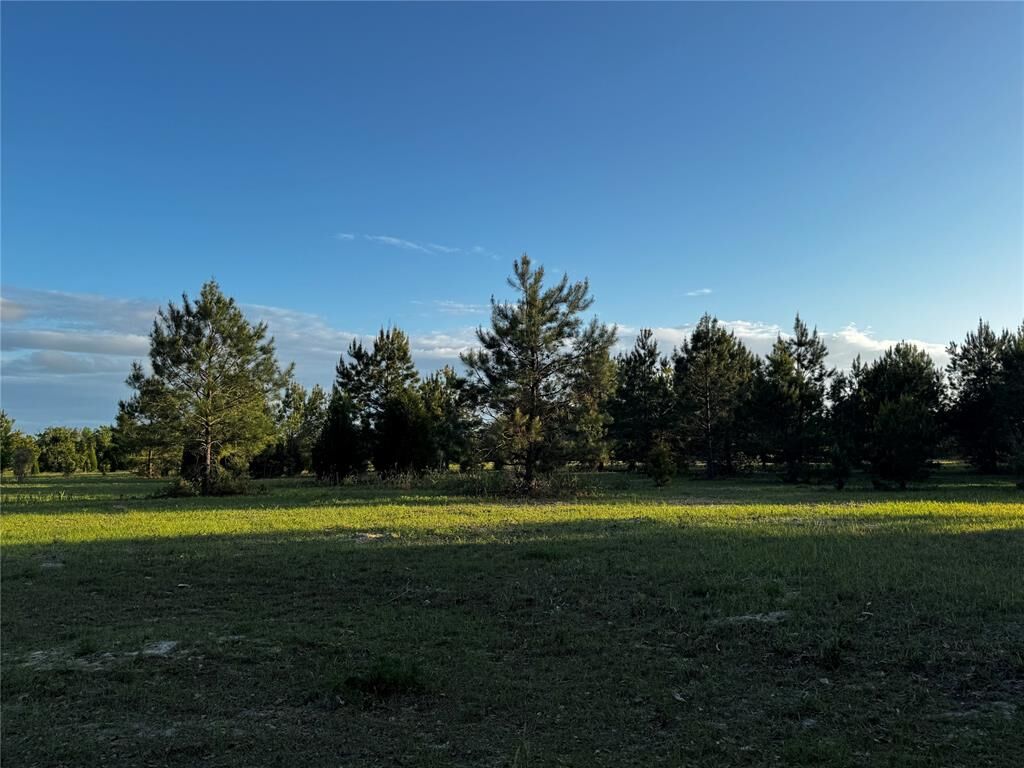 Property Photo:  44480 Higginbotham Drive  FL 32011 