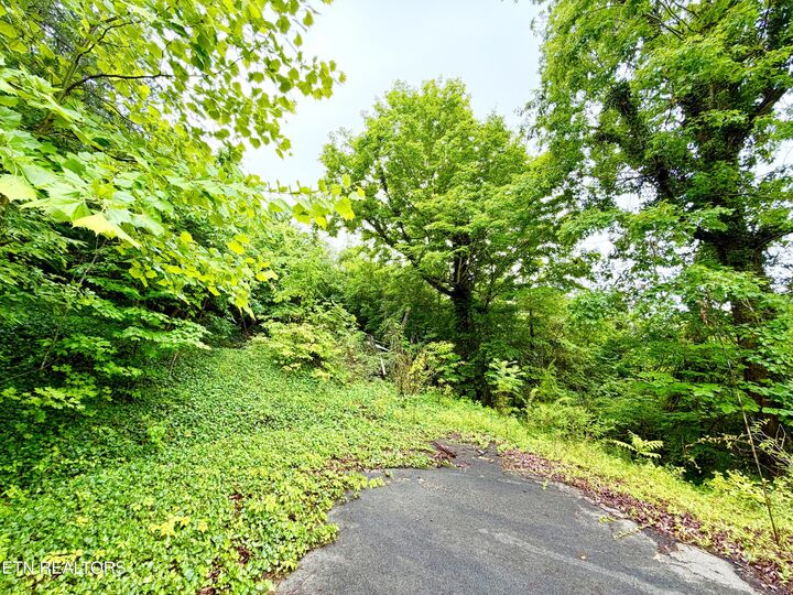 Property Photo:  0 Willowbrook Drive  TN 37385 