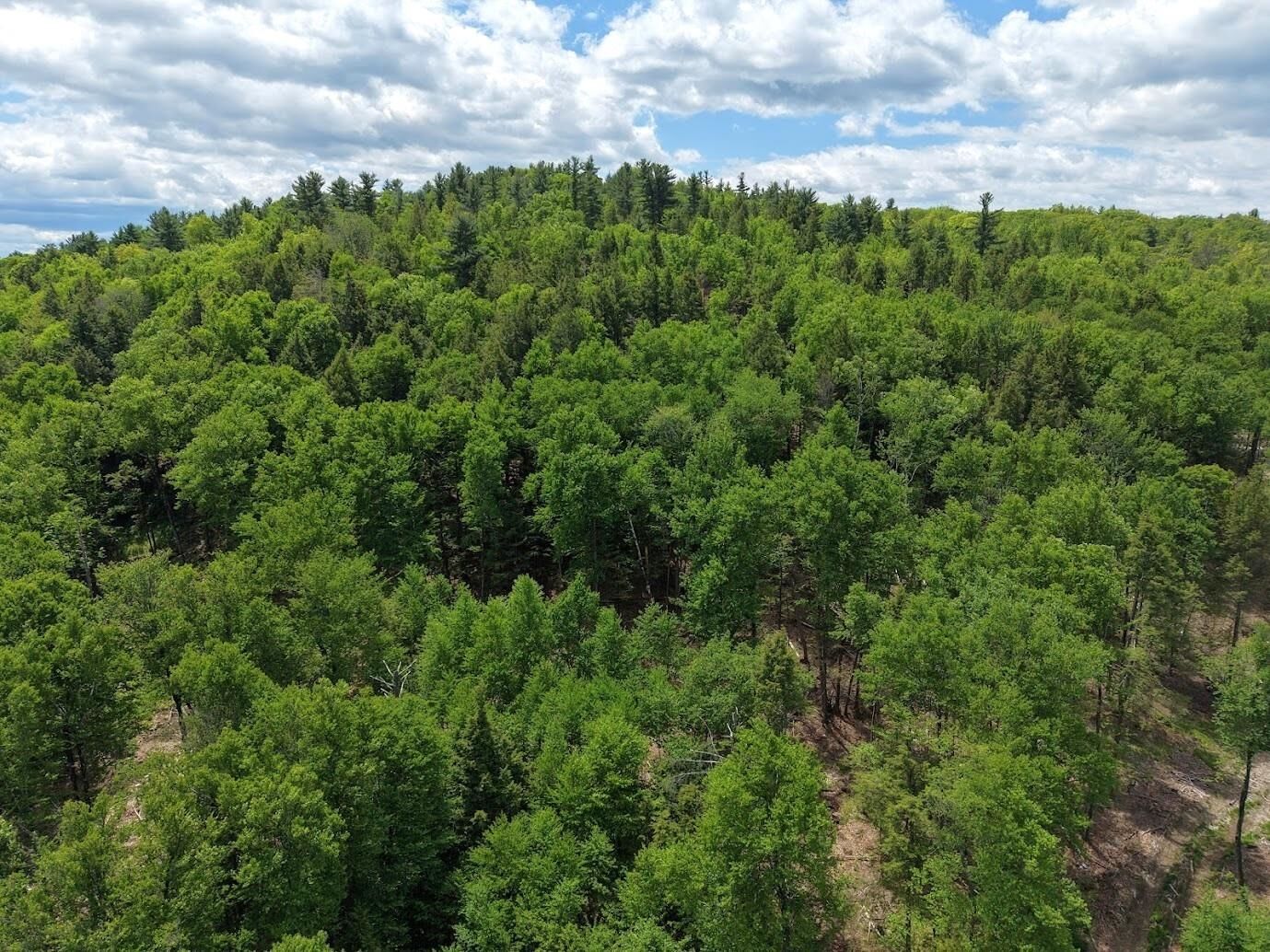 Property Photo: Hurricane Road NH 03467